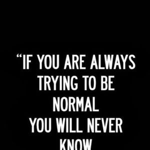 Meet your Posher, Wanda
